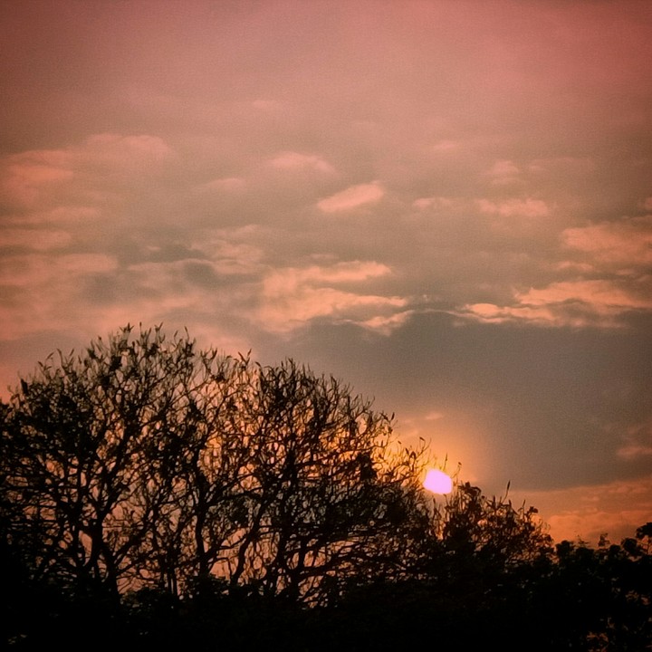Divine light.