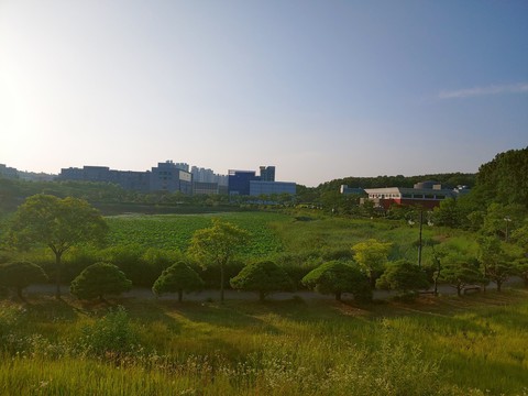 park lake