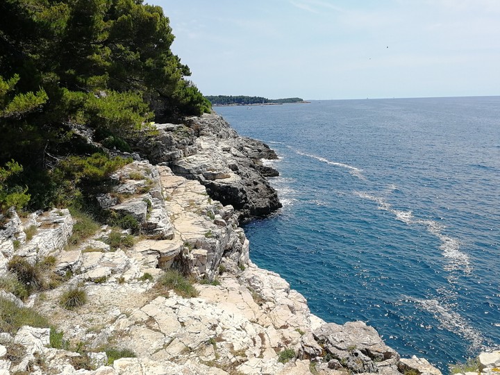 Sea