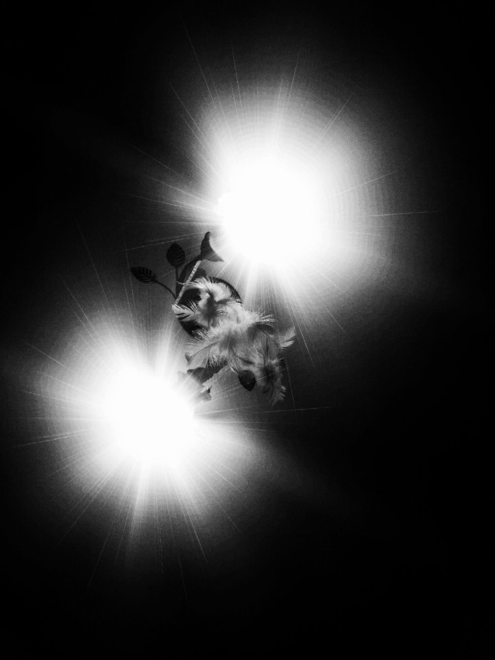 light