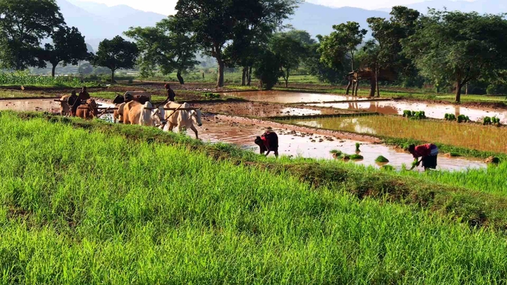 Araku Valley