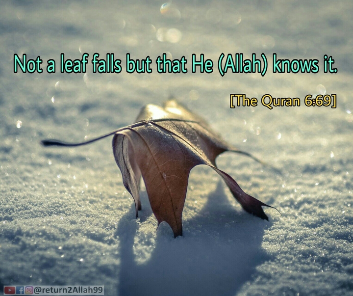 Allah Knows