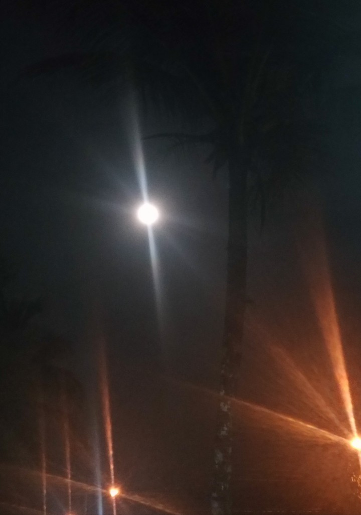 lua♥️
