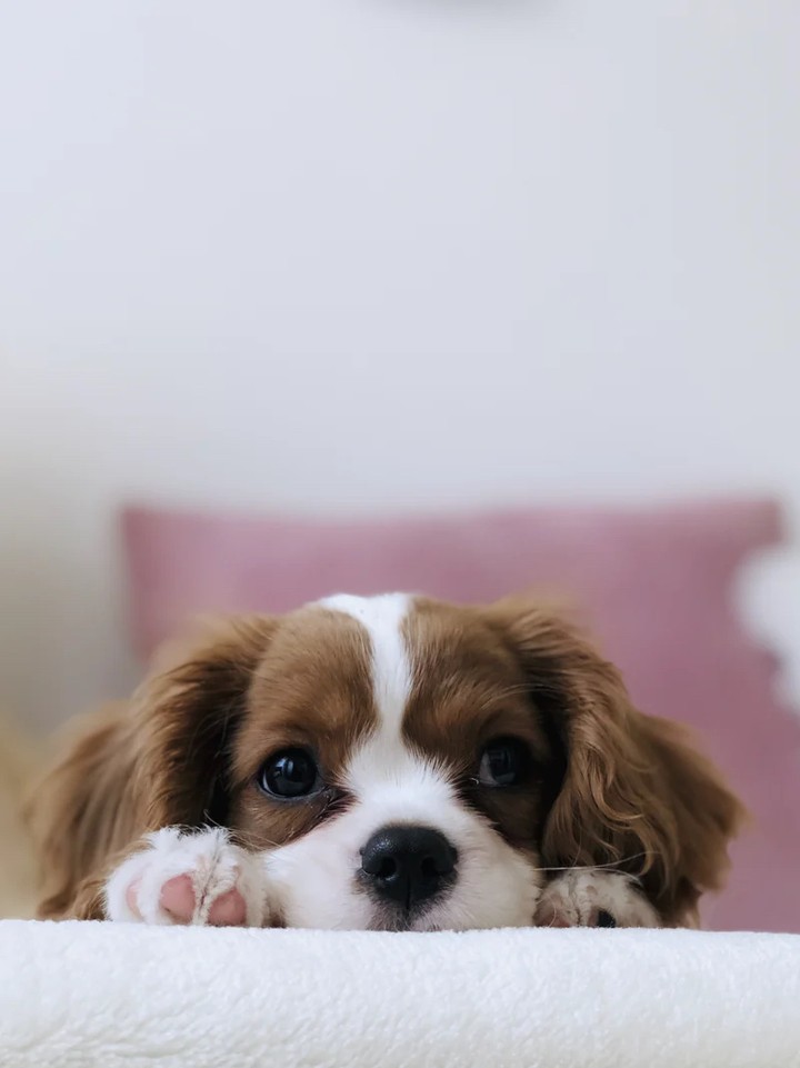 .