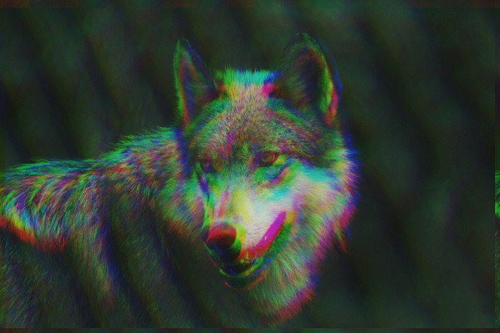 glitch wolf
