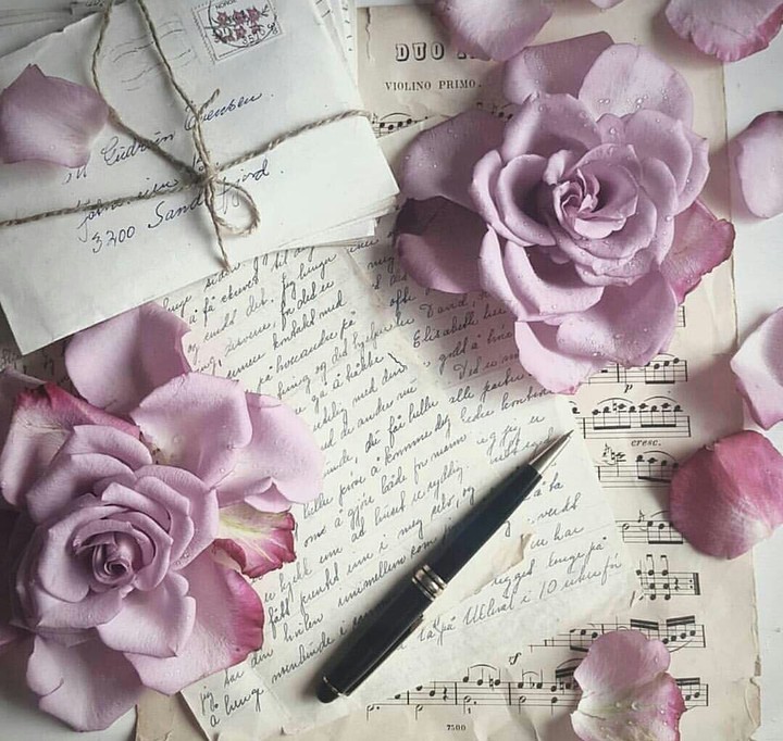 Flowers ❤
