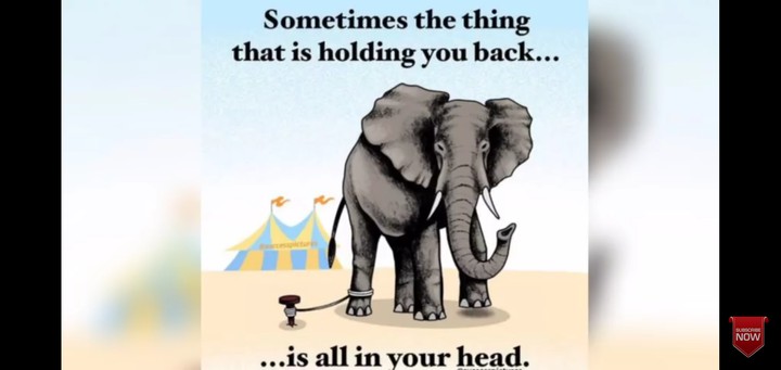 mind it