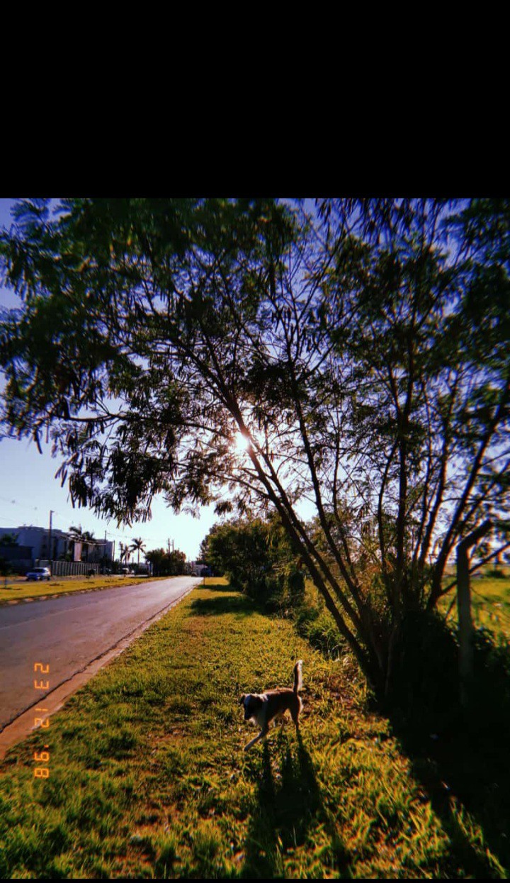 Brazil