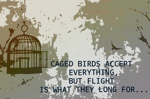 FREEDOM