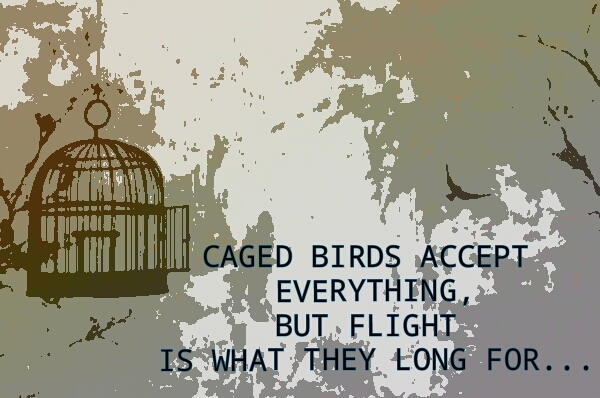 FREEDOM