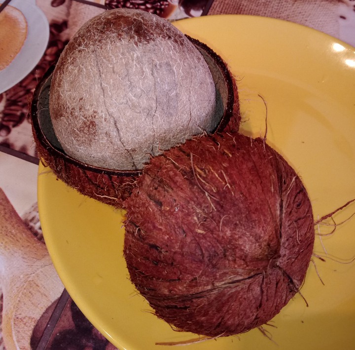 ядро кокоса в скорлупе