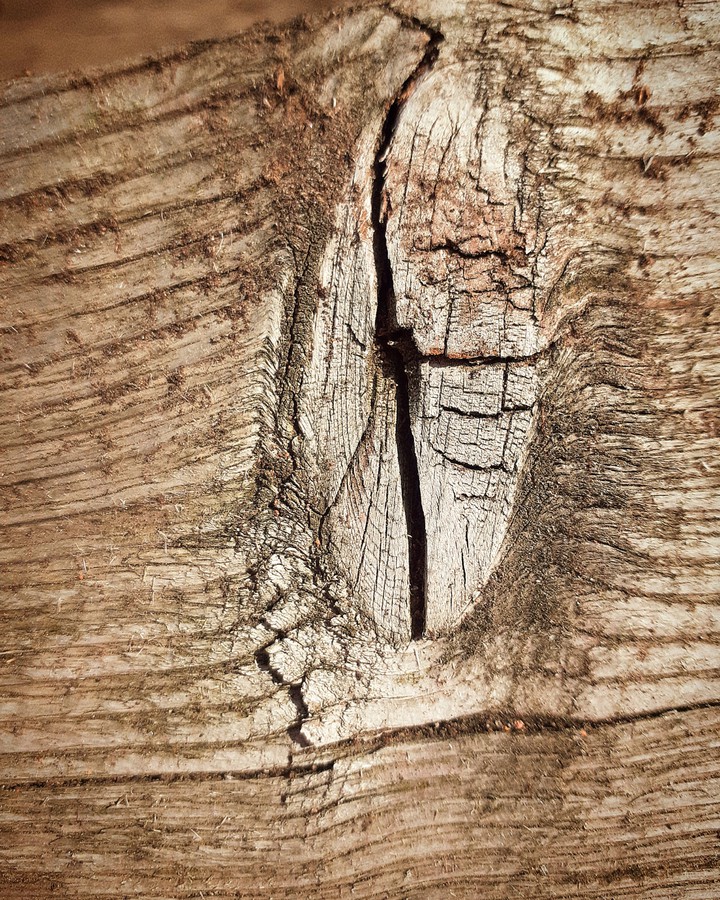 eye