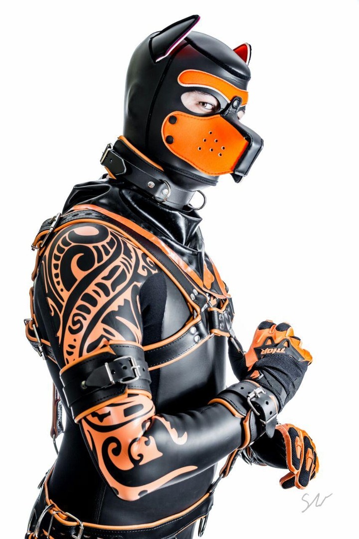 Rubber Puppy