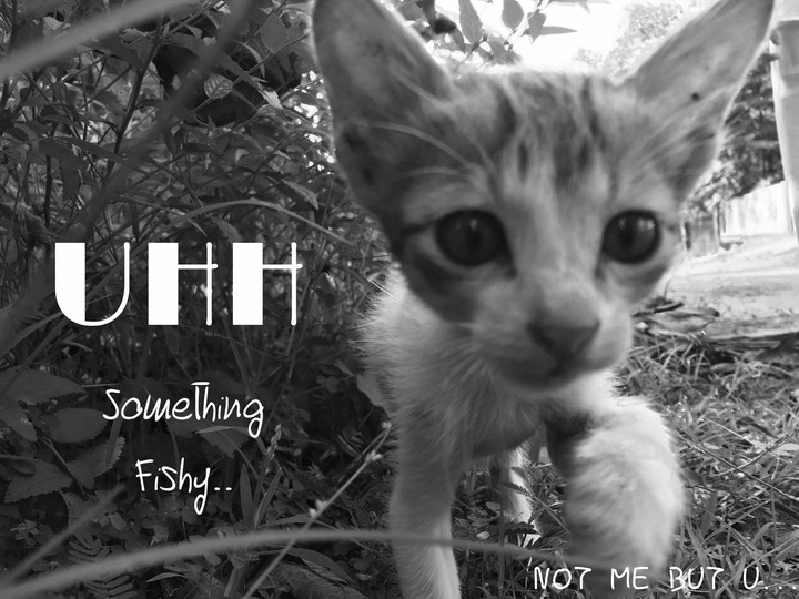 something fishy!!