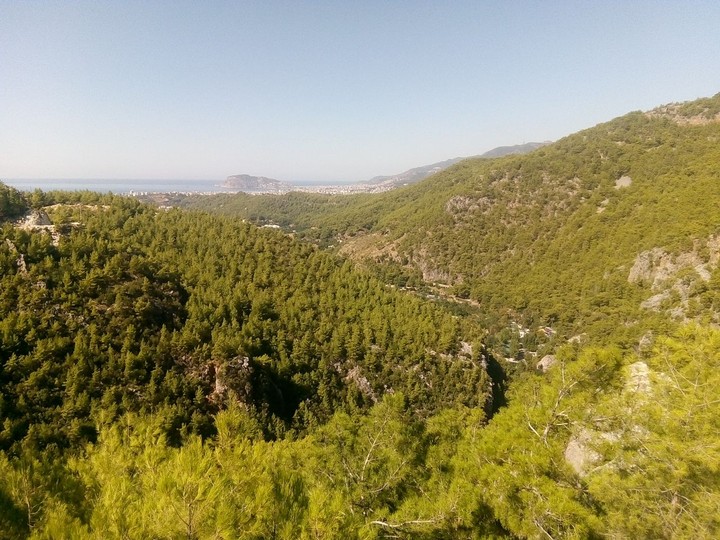 Turkey