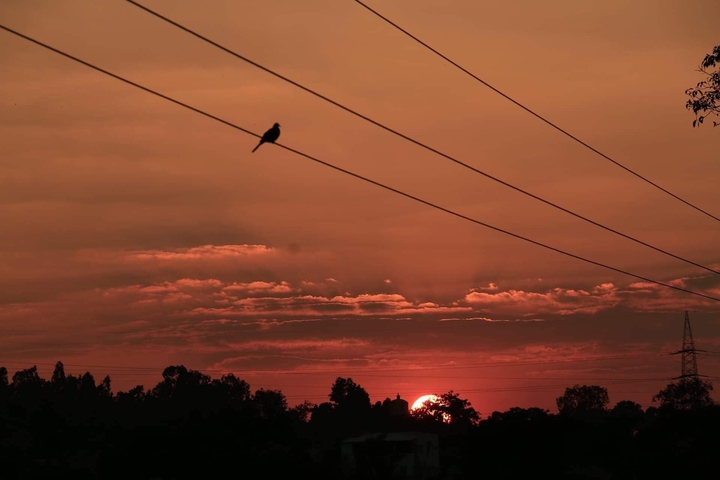 Sky