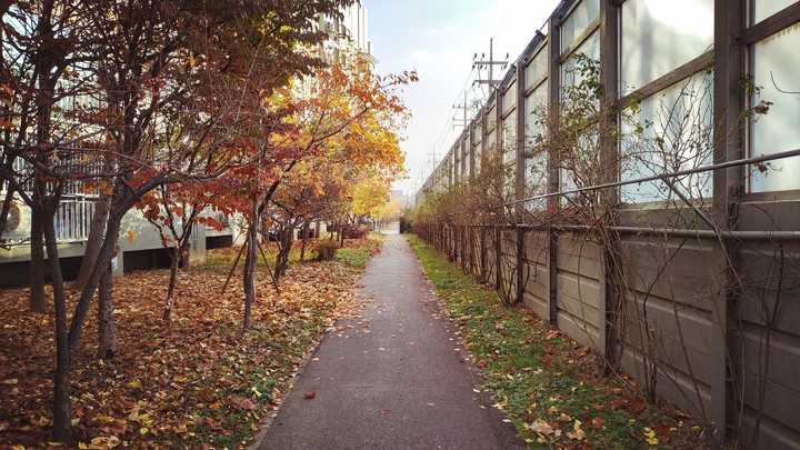 Autumn