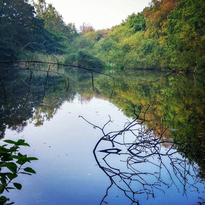 autumn's lake