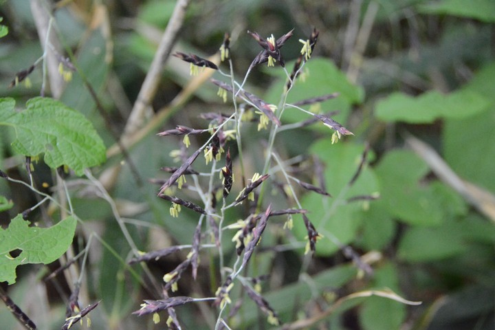 함백산이미지