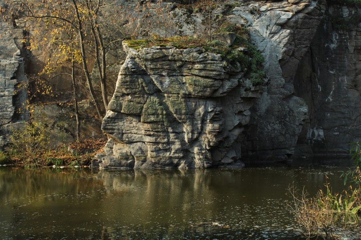 River bank