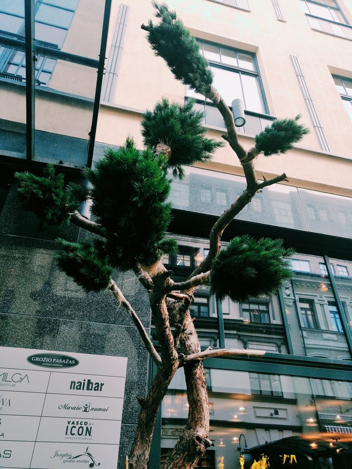 Somewhere in Vilnius