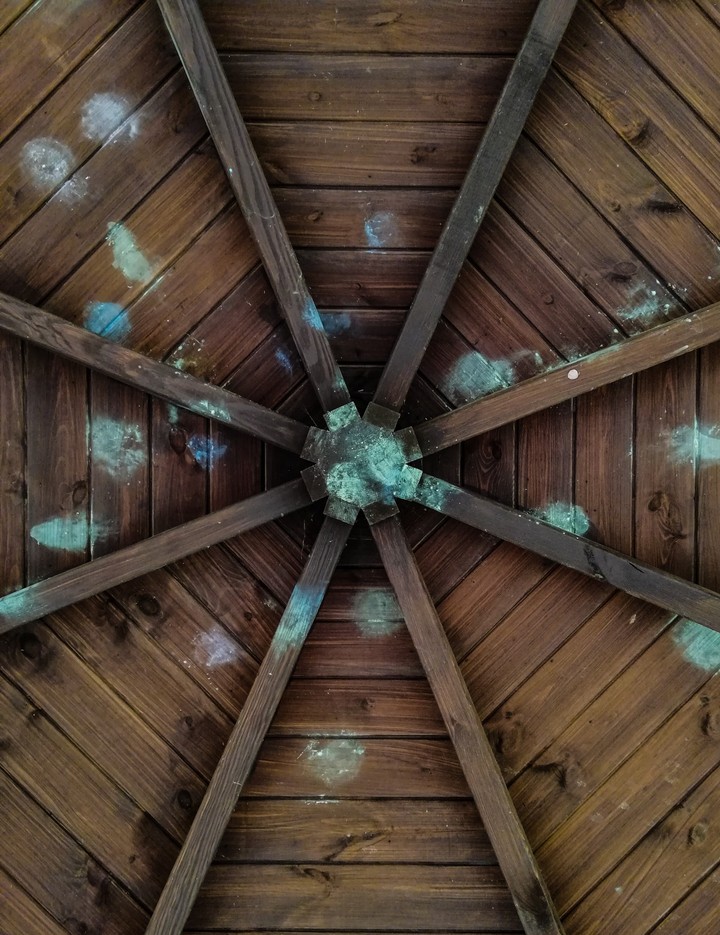 colorful wood