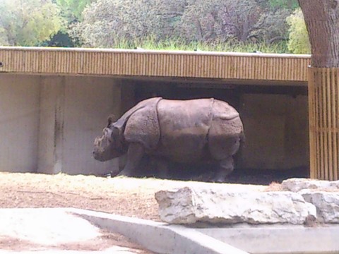 Madrid zoo