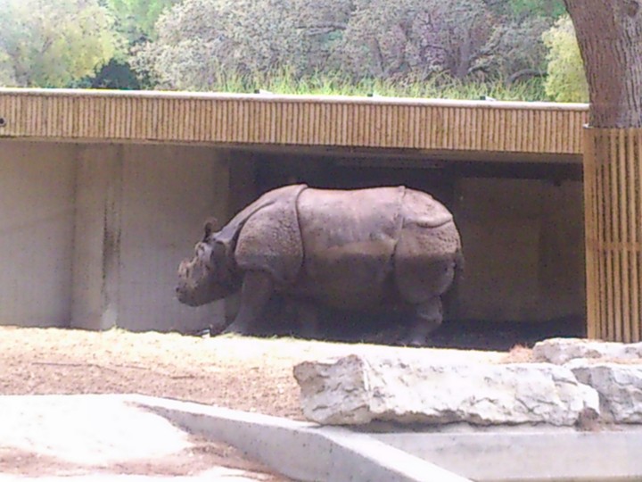 Madrid zoo