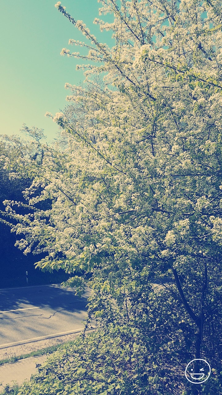 Strasse