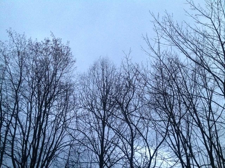 beautiful winter