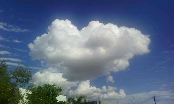 love in the sky