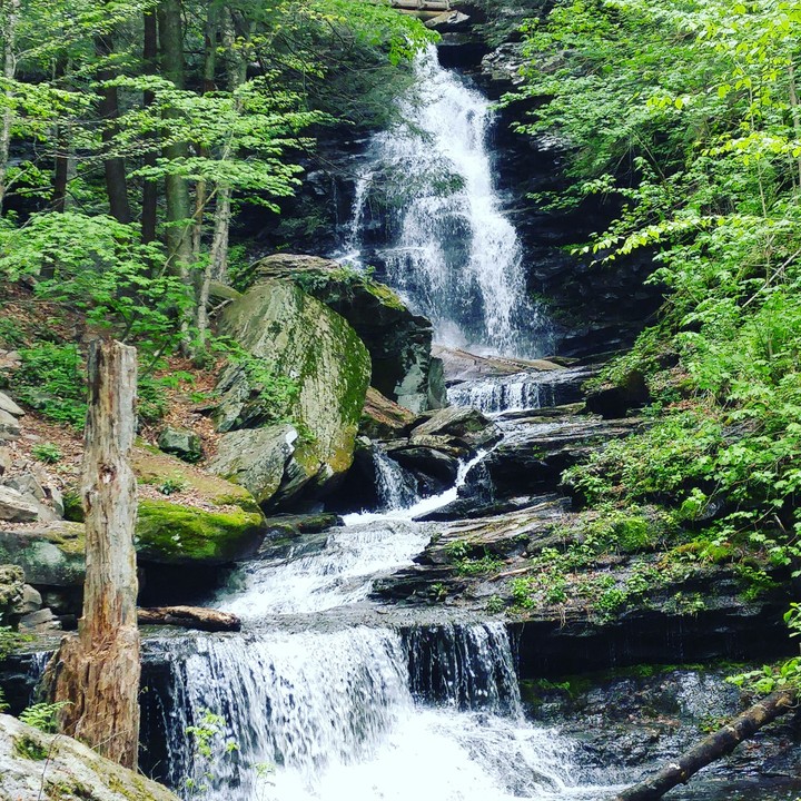 water fall (rickets glenn pa)