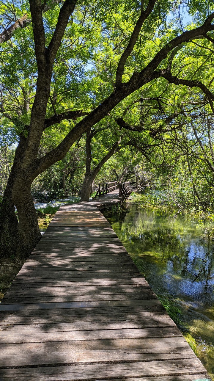 Nature life