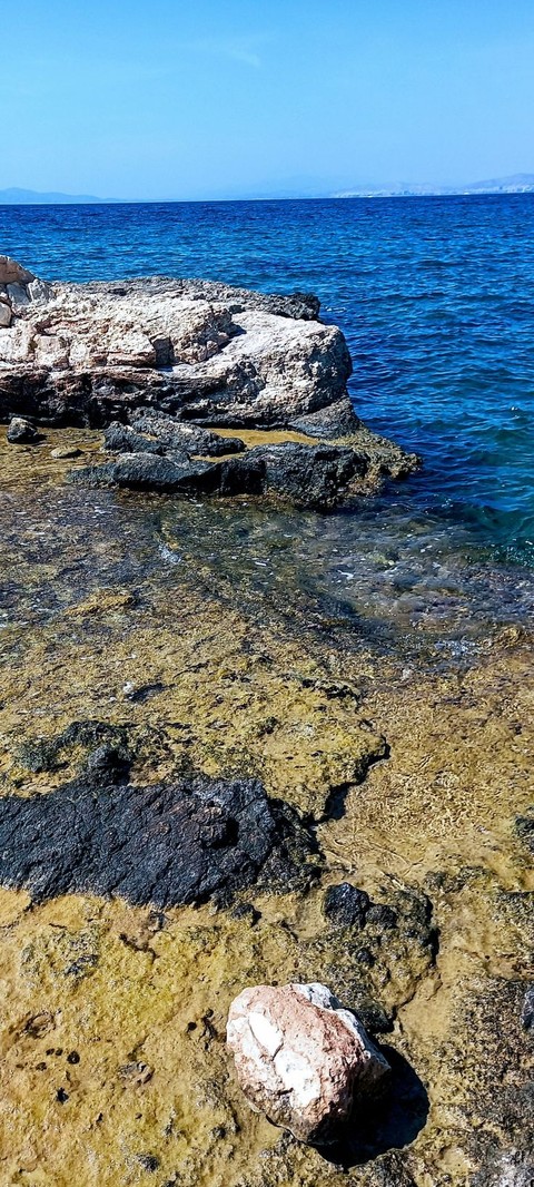 tapety algae, Rock