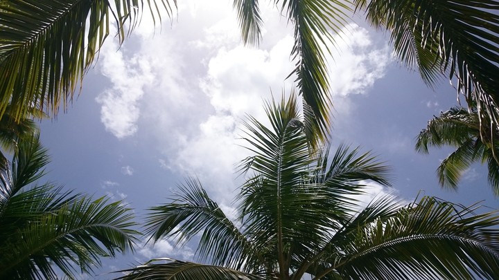 Republica Dominicana