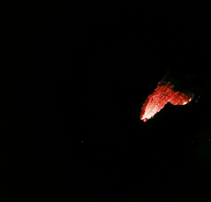 Burning tree