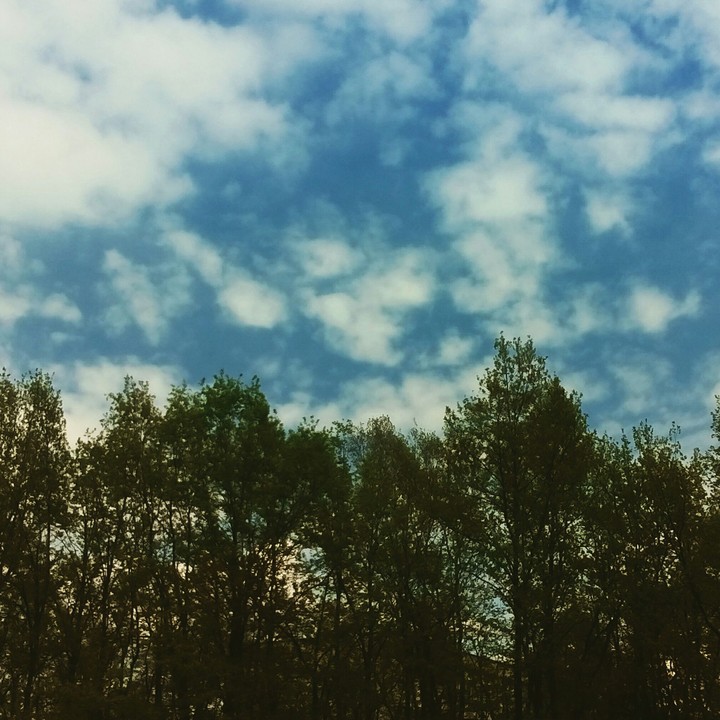 Stroll...