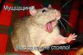 Просто я когда меня опередили в очереди в туалет