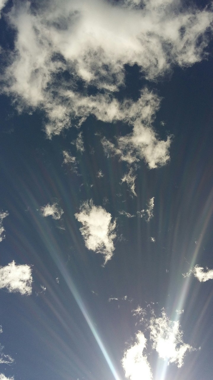 CIELO