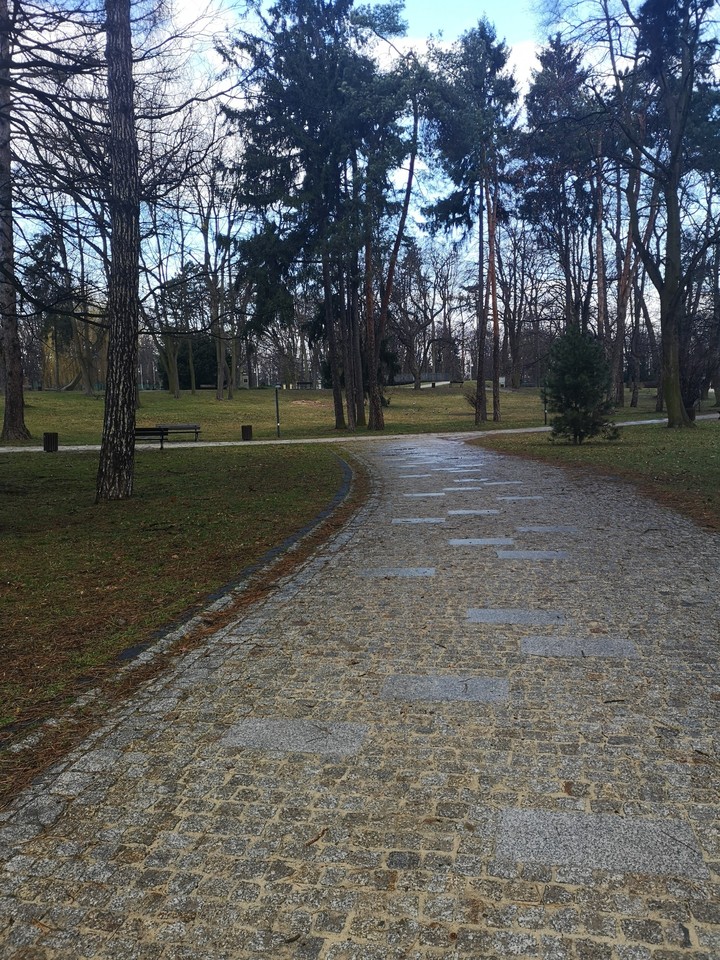 deszczowy