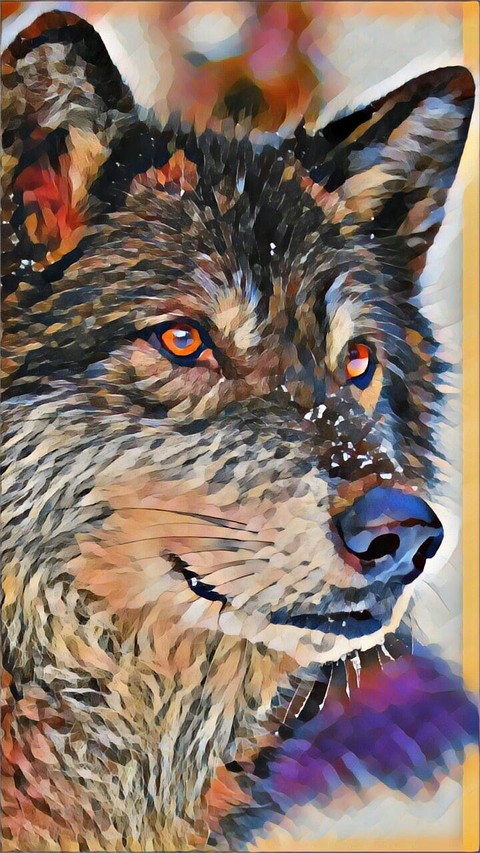 UNGRY and HUNGRY WOLF