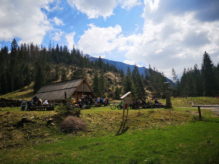 mountains