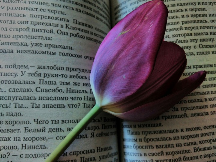 flower