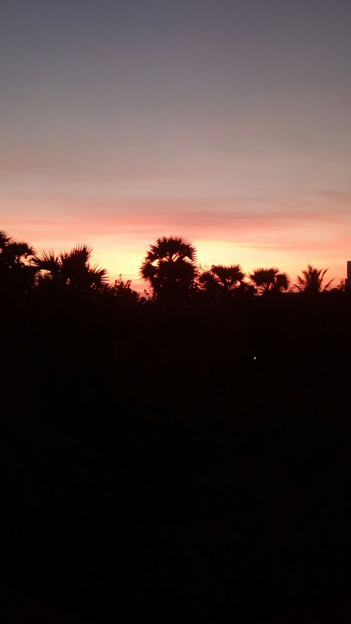 evening season