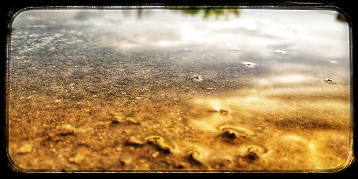 rain water