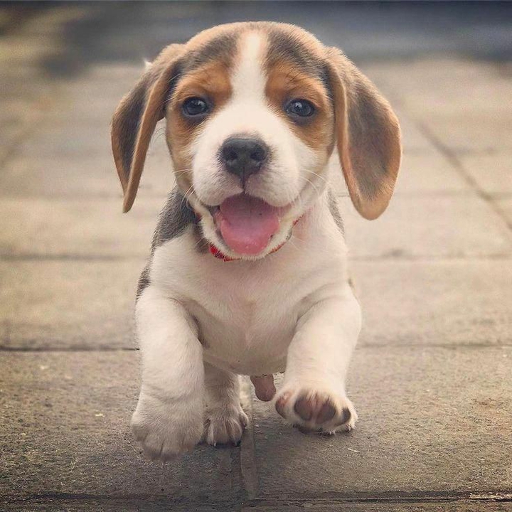 ❤️ ❤️