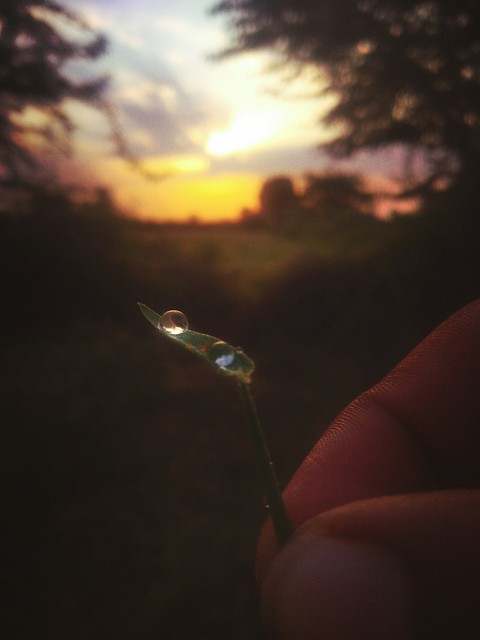 morning beauty