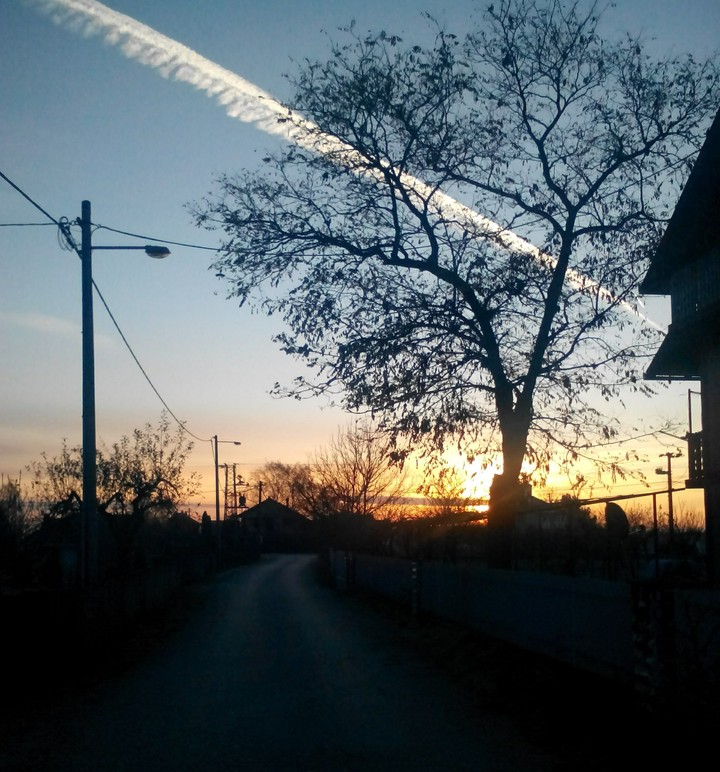 Morning or sunset?