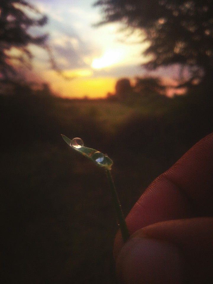 morning beauty