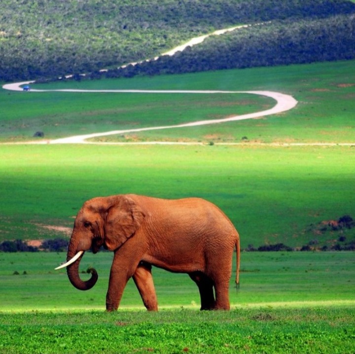 South Africa